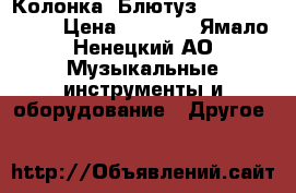 Колонка. Блютуз. JBL charge 2 › Цена ­ 2 000 - Ямало-Ненецкий АО Музыкальные инструменты и оборудование » Другое   